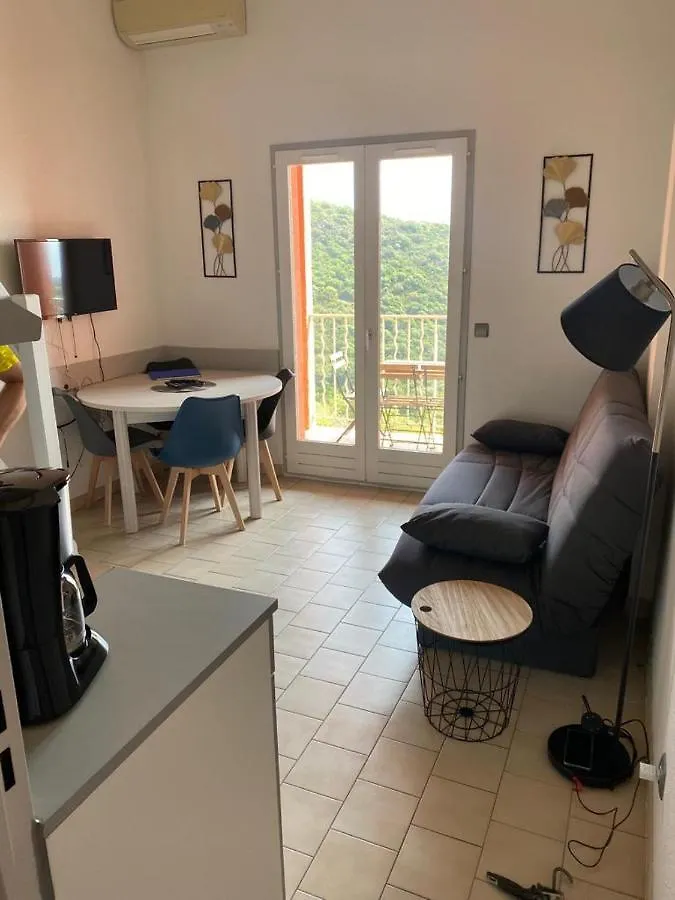 Appartement Location Vacance Vue Mer 4 A 6 Personnes Cavalaire-sur-Mer